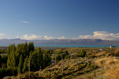 el calafate.JPG