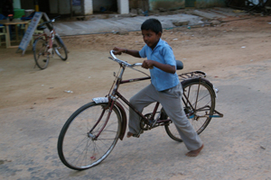 not quite tall enough