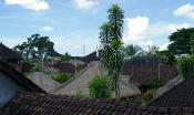 Ubud (5)