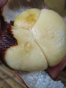 snakefruit