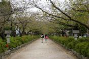 kamakura (2)