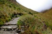 Inca Trail