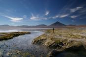 Bolivia_ Laguna Colorada _4_.JPG