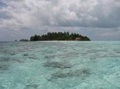 IMG_3044.JPG